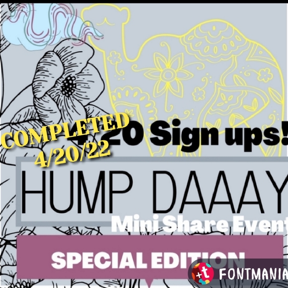 PARTICIPANT - Picture 6 of 12